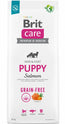 Brit Care Dog Puppy Grain Free Salmon 12Kg per cani
