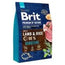 Brit Premium By Nature Dog Sensitive Lamb 3Kg per cani