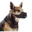Buster - Museruola in nylon per cani, taglia 8