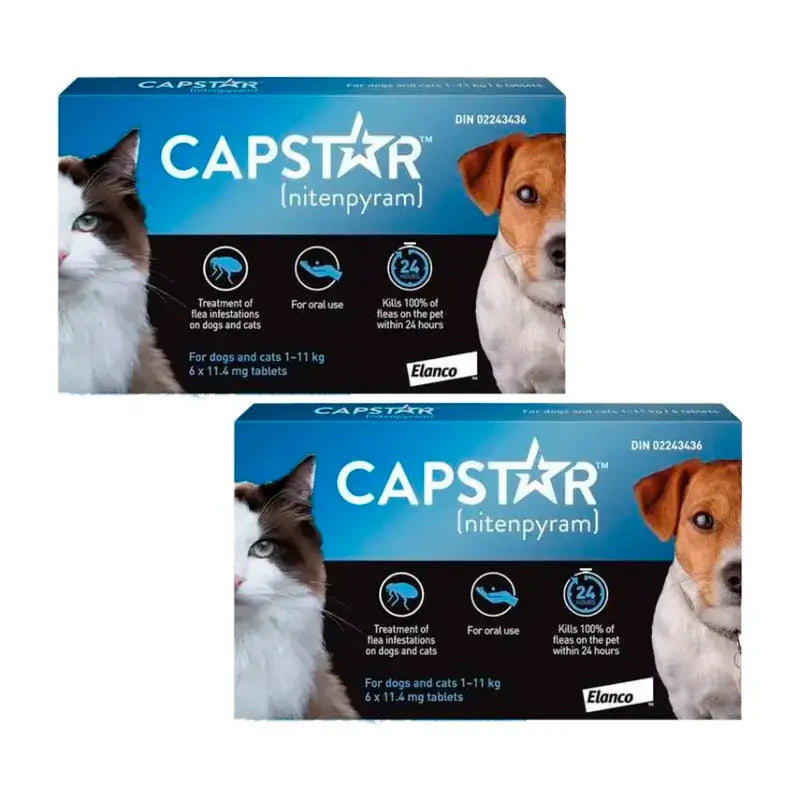 Capstar 11,45Mg Cane e Gatto 1-11Kg , Confezione 2 x 6 Compresse