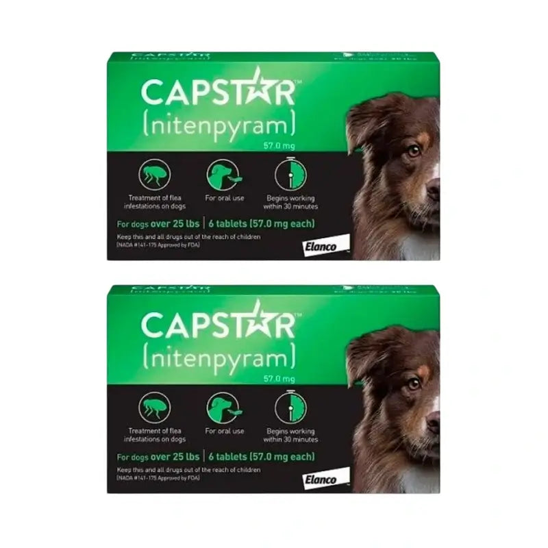 Capstar 57 Mg Cane 11-60Kg, 12 compresse