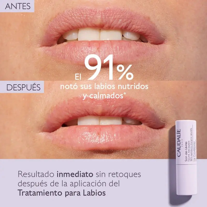 Caudalie Trattamento labbra, 4,5 g
