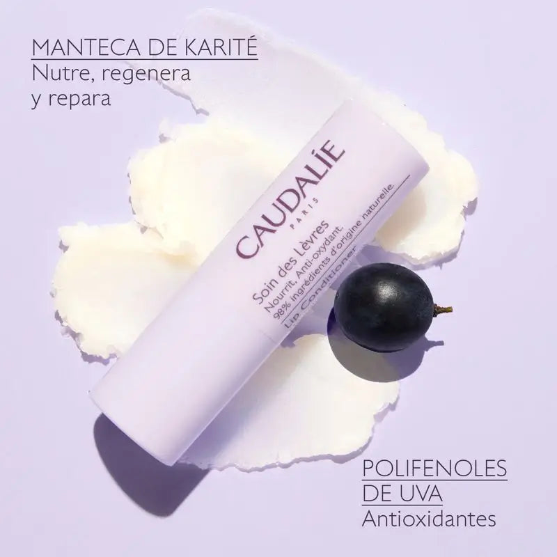 Caudalie Trattamento labbra, 4,5 g