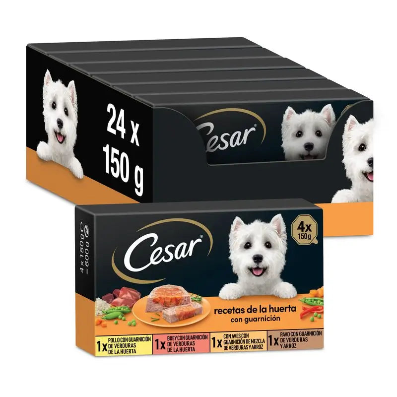 Cesar Multipack Selezione Giardino Box 6X4X150Gr