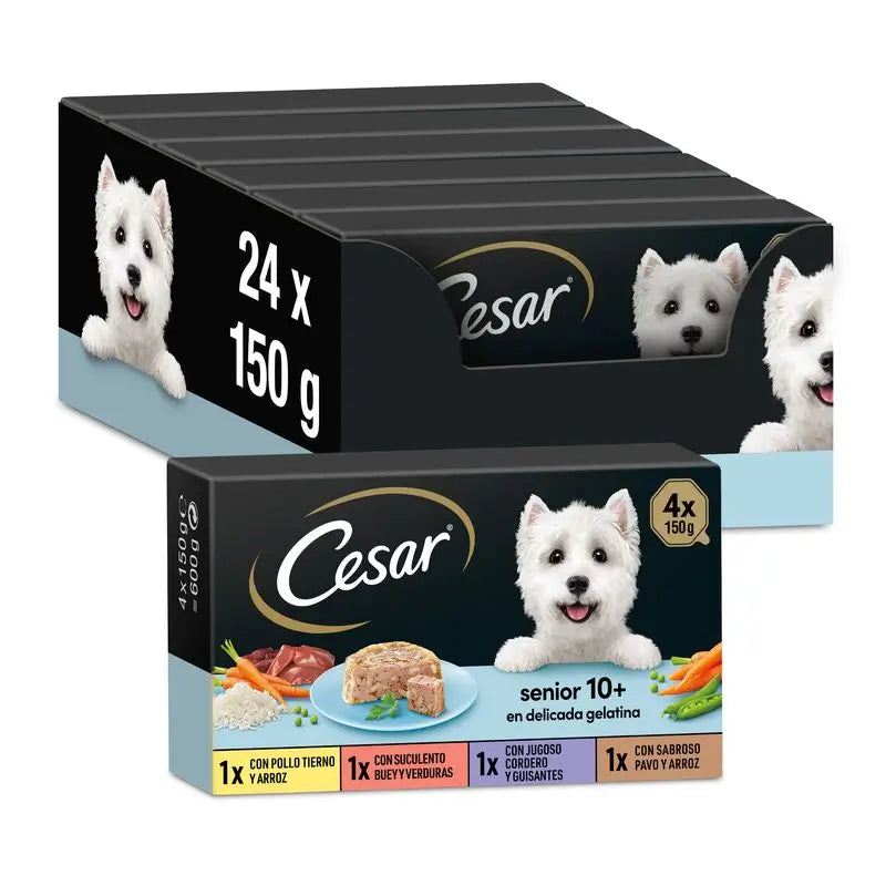 Cesar Multipack Senior Box 6X4X150Gr