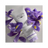 Christophe Robin Shade Variation Balsamo all'iris fiorentino , 250 ml