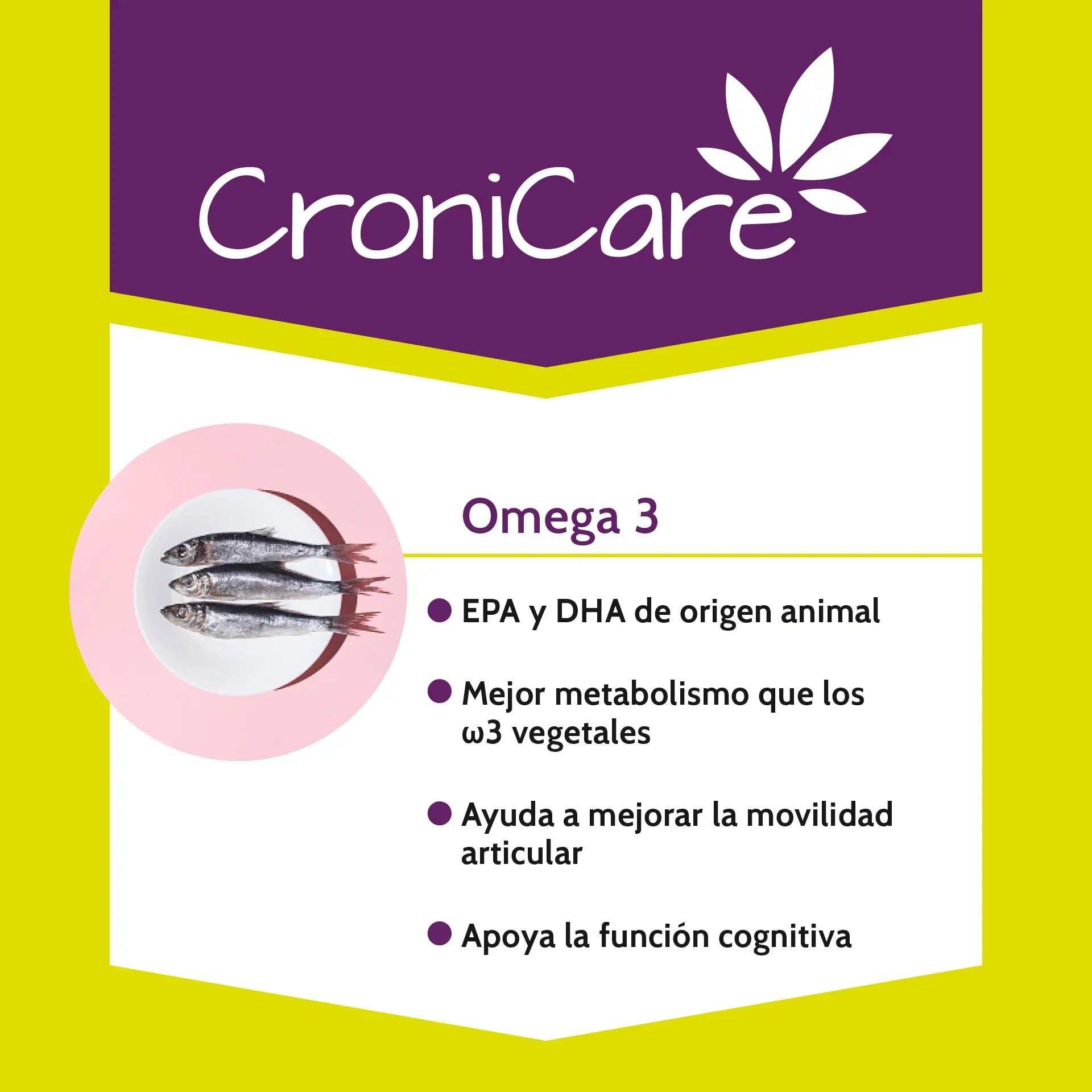 Olio di Cronicare Stangest, 30 Ml