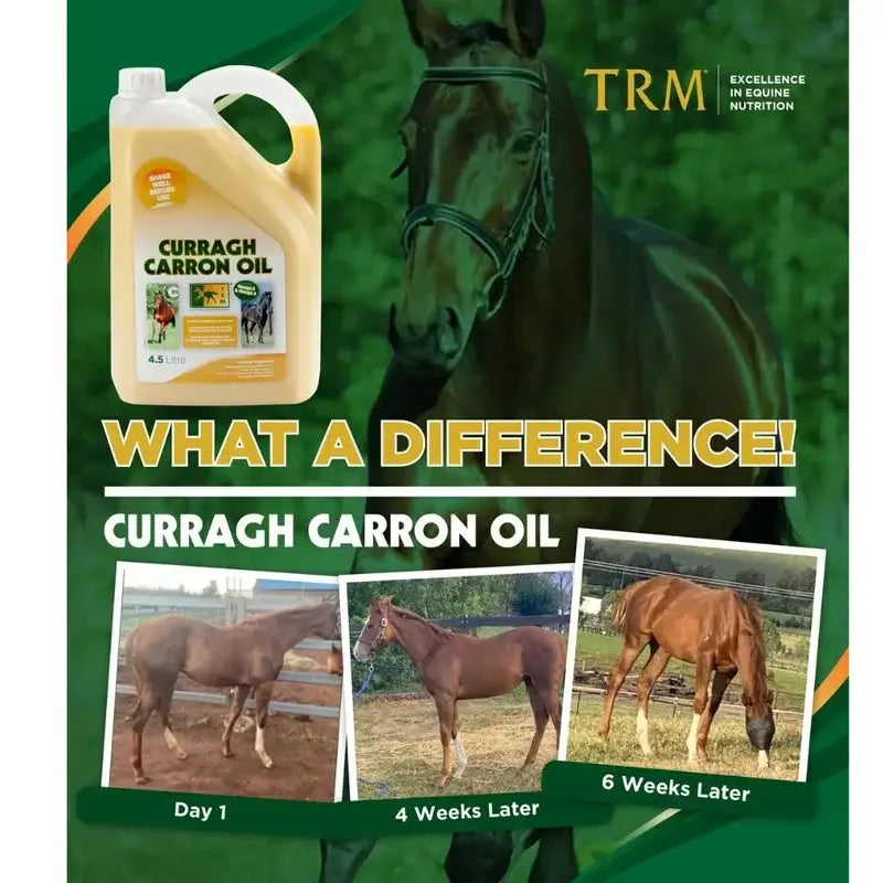 Olio Curragh Carron 4,5 litri. Omega 3-6