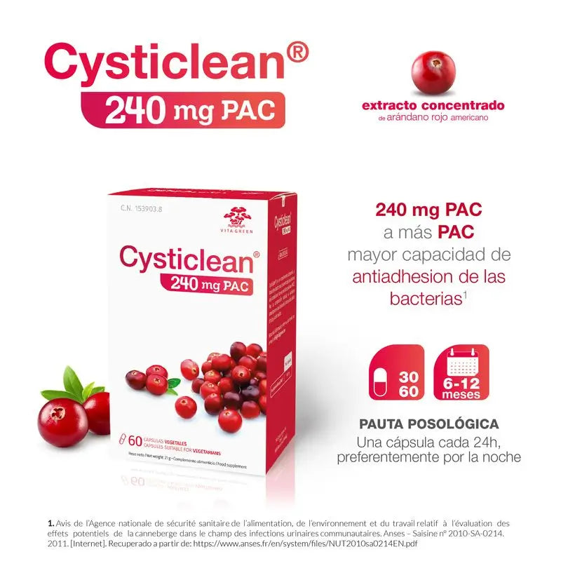 Cysticlean 240 Mg Pac, 60 capsule