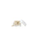 Darphin Éclat Sublime Advanced Wrinkle Corrective Retinol Capsules (60 capsule)