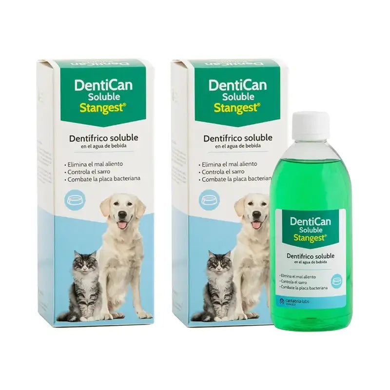 Dentican Stangest Solubile, 2X500 Ml