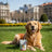 Dibaq Sense Dental Dog Snacks (Pork), 8 x 100 g