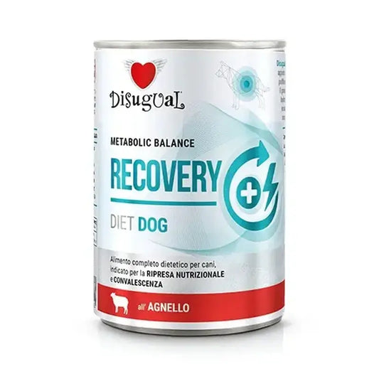 Disugual Diet Dog Recovery Agnello 6X400Gr