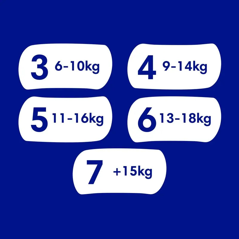 Dodot Baby Dry Taglia 6, 48 pannolini