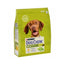 Dog Chow Canine Adult Chicken 2,5Kg, alimento per cani