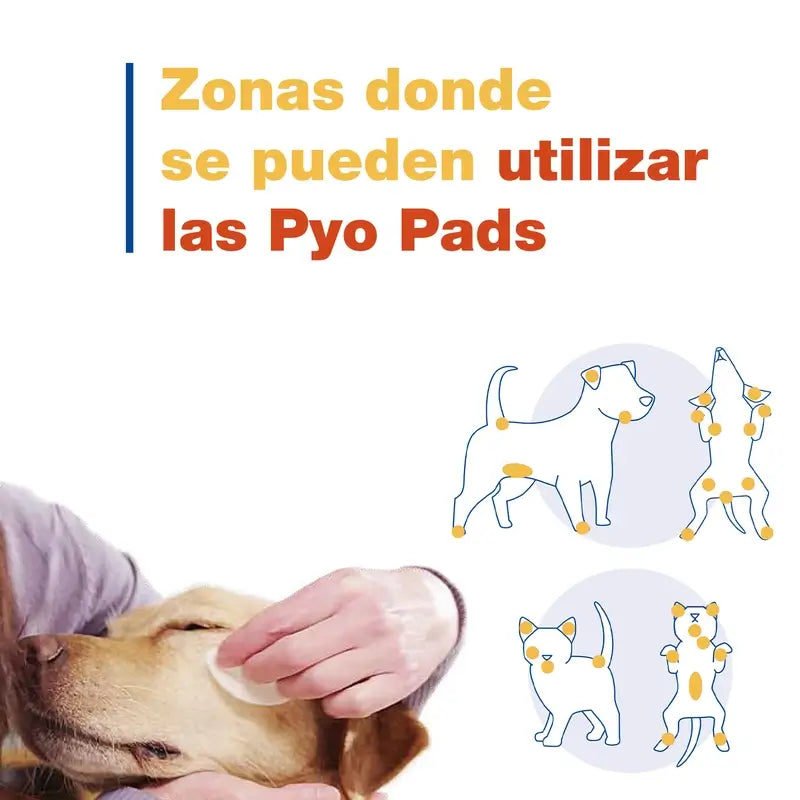 Douxo S3 Pyo, 30 dischi