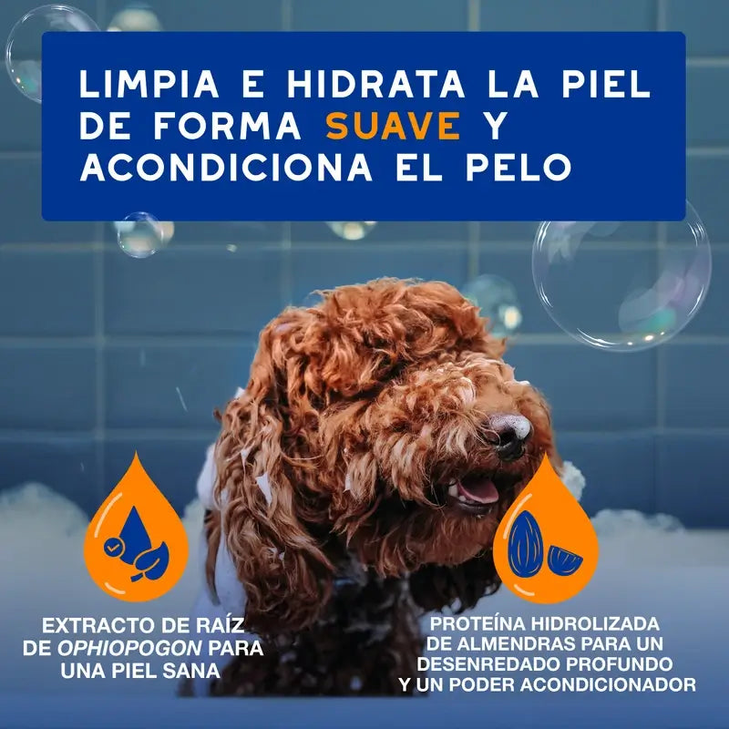 Douxo Skin & Coat Spa 2 In 1 Shampoo e Balsamo per cani, 250 ml
