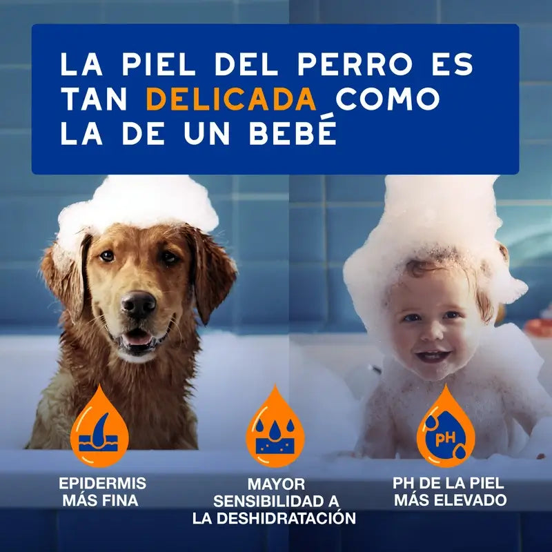 Douxo Skin & Coat Spa 2 In 1 Shampoo e Balsamo per cani, 250 ml