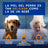 Douxo Skin & Coat Spa 2 In 1 Shampoo e Balsamo per cani, 250 ml