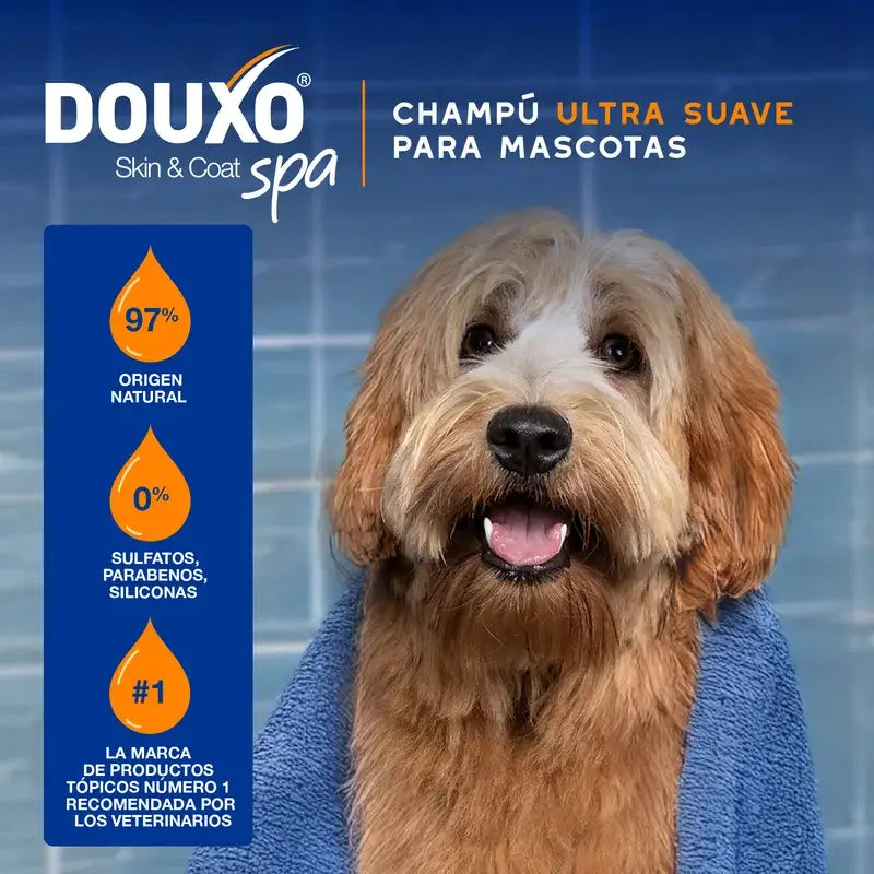 Douxo Skin & Coat Spa 2 In 1 Shampoo e Balsamo per cani, 250 ml