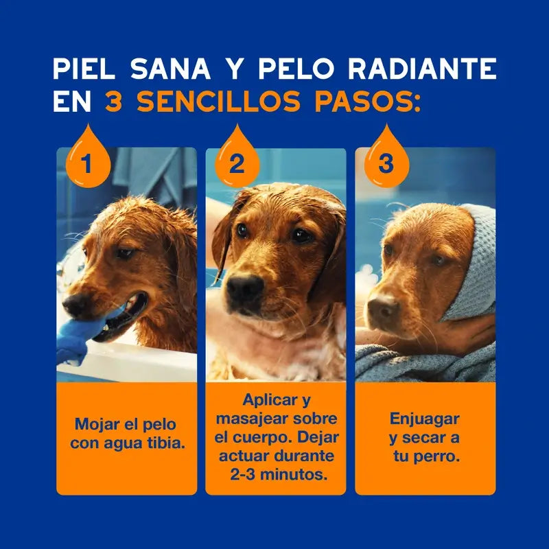 Douxo Skin & Coat Spa 2 In 1 Shampoo e Balsamo per cani, 250 ml