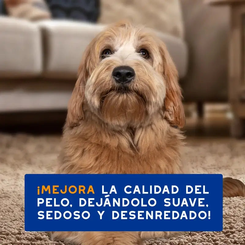 Douxo Skin & Coat Spa 2 In 1 Shampoo e Balsamo per cani, 250 ml
