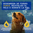 Douxo Skin & Coat Spa Balsamo alla farina d'avena per cani, 250ml
