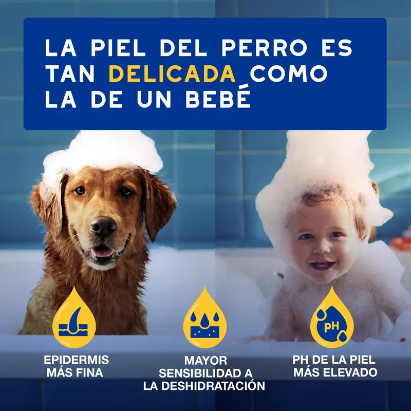 Douxo Skin & Coat Spa Balsamo alla farina d'avena per cani, 250ml