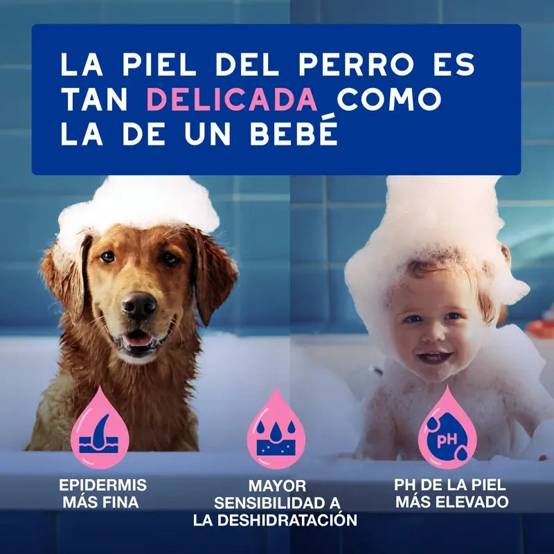 Douxo Skin & Coat Spa Shampoo lenitivo per cani, 250 ml