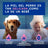 Douxo Skin & Coat Spa Shampoo lenitivo per cani, 250 ml