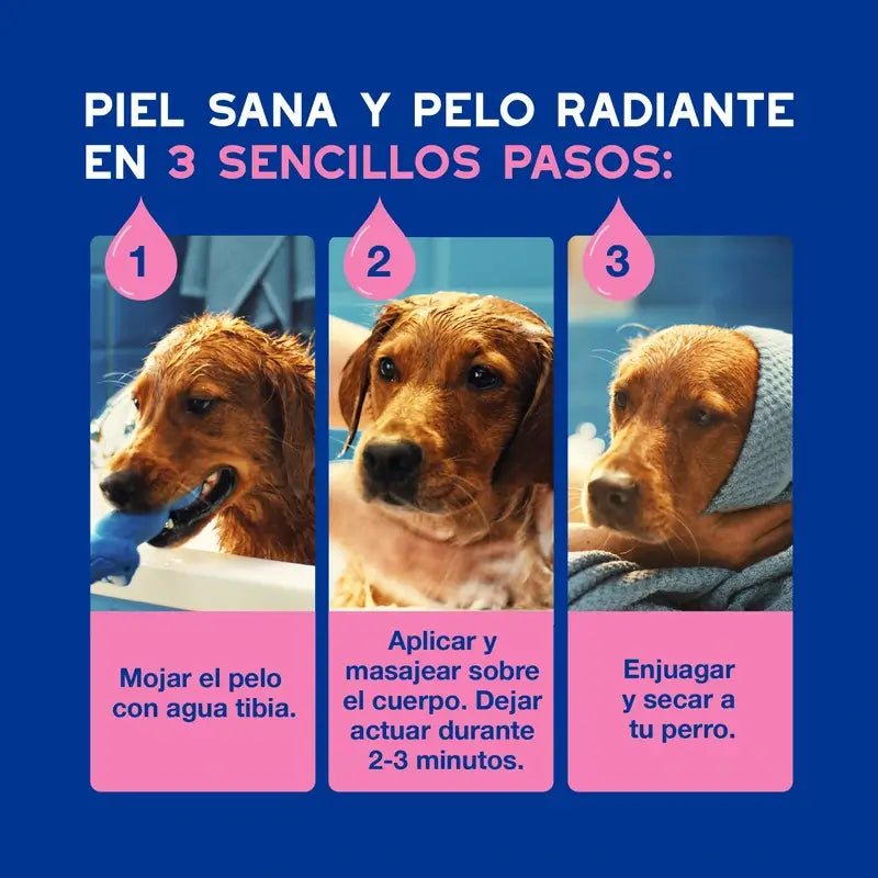 Douxo Skin & Coat Spa Shampoo lenitivo per cani, 250 ml