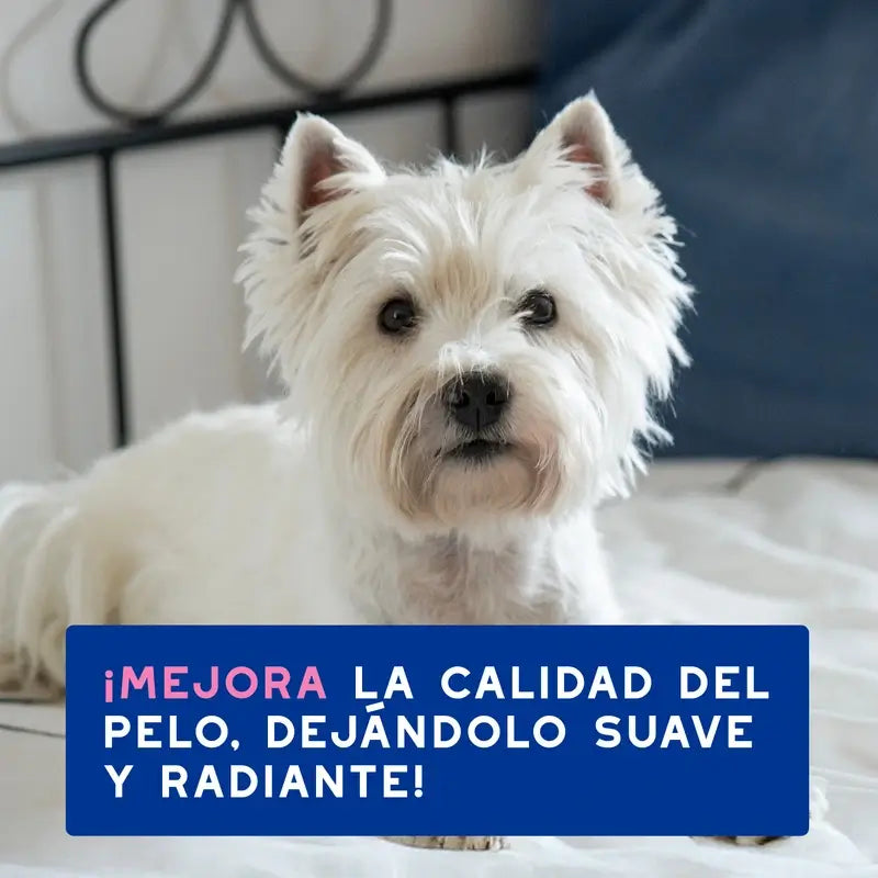 Douxo Skin & Coat Spa Shampoo lenitivo per cani, 250 ml