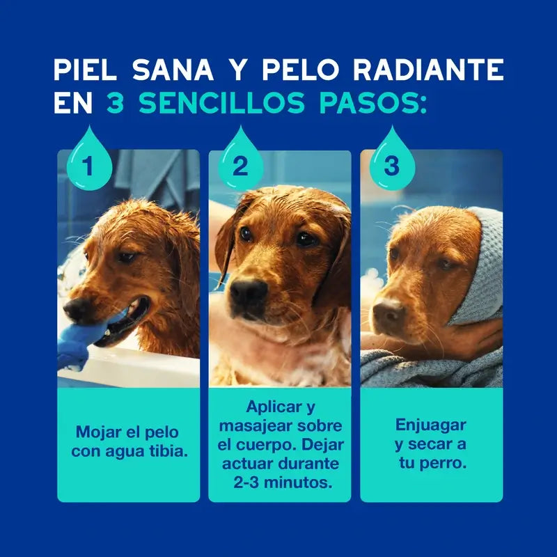Douxo Skin & Coat Spa Shampoo antidolorifico per cani, 250 ml