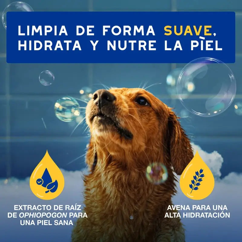 Douxo Skin & Coat Spa Shampoo alla farina d'avena per cani, 250 ml