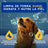 Douxo Skin & Coat Spa Shampoo alla farina d'avena per cani, 250 ml
