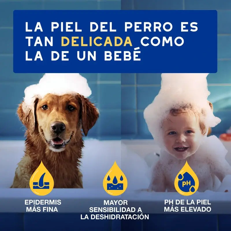 Douxo Skin & Coat Spa Shampoo alla farina d'avena per cani, 250 ml