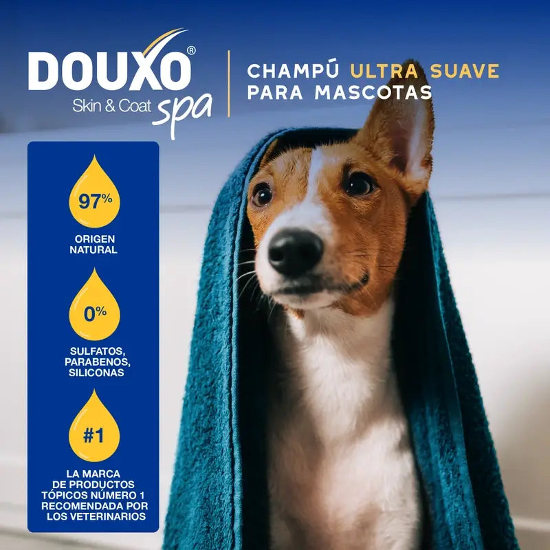 Douxo Skin & Coat Spa Shampoo alla farina d'avena per cani, 250 ml