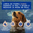 Douxo Skin & Coat Spa Shampoo anti-muta per cani, 250 ml