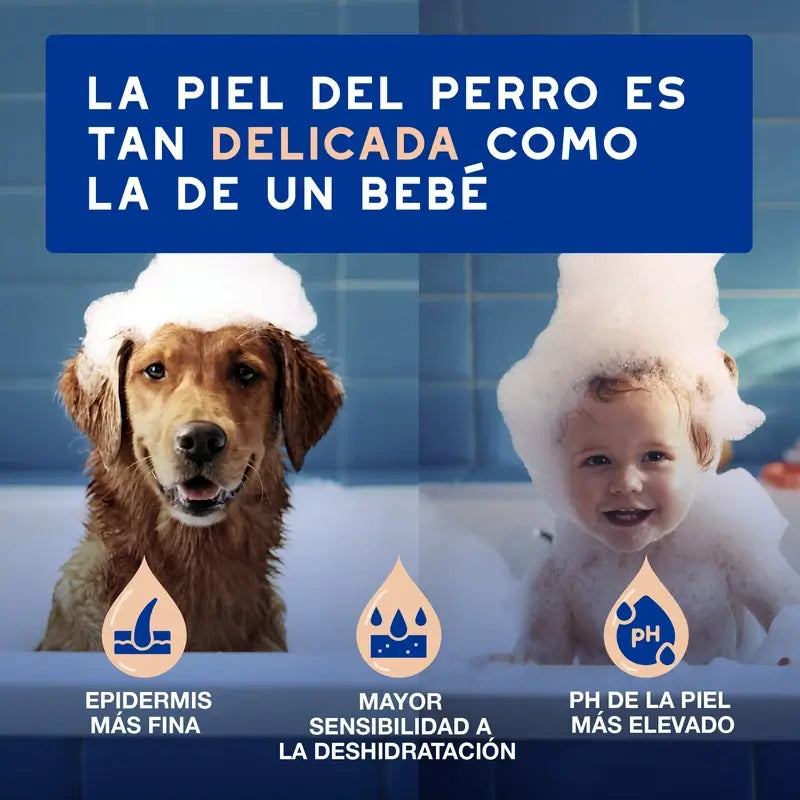 Douxo Skin & Coat Spa Shampoo anti-muta per cani, 250 ml