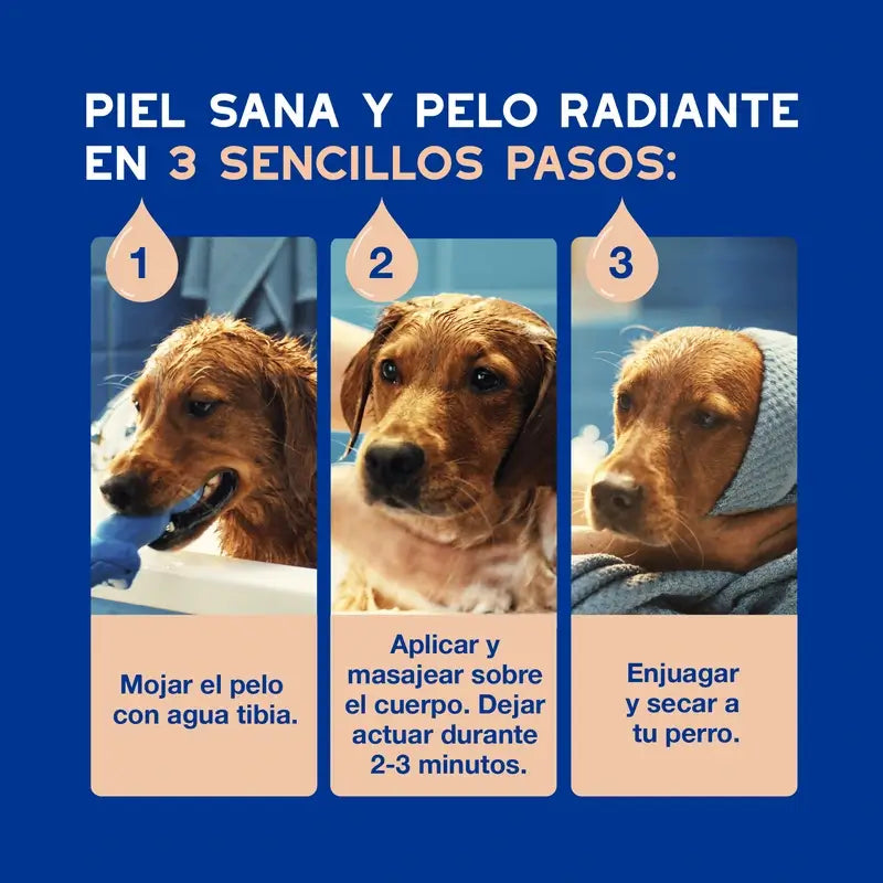 Douxo Skin & Coat Spa Shampoo anti-muta per cani, 250 ml