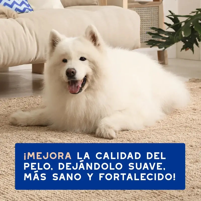 Douxo Skin & Coat Spa Shampoo anti-muta per cani, 250 ml