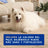Douxo Skin & Coat Spa Shampoo anti-muta per cani, 250 ml