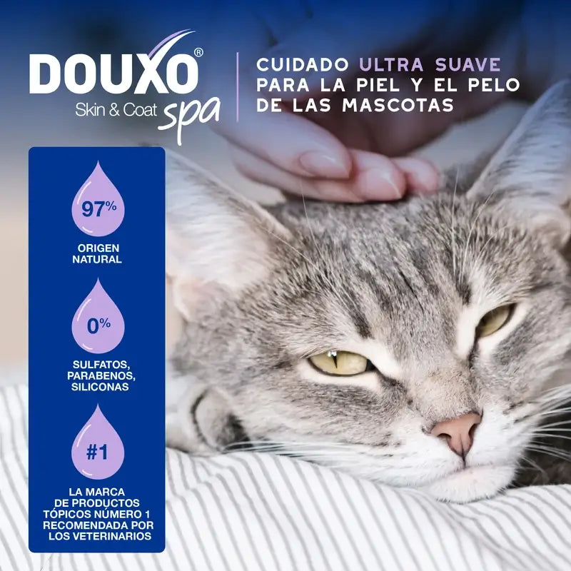 Douxo Skin & Coat Spa Detergente ultra delicato per la pulizia dei gatti senza stress, 150 ml