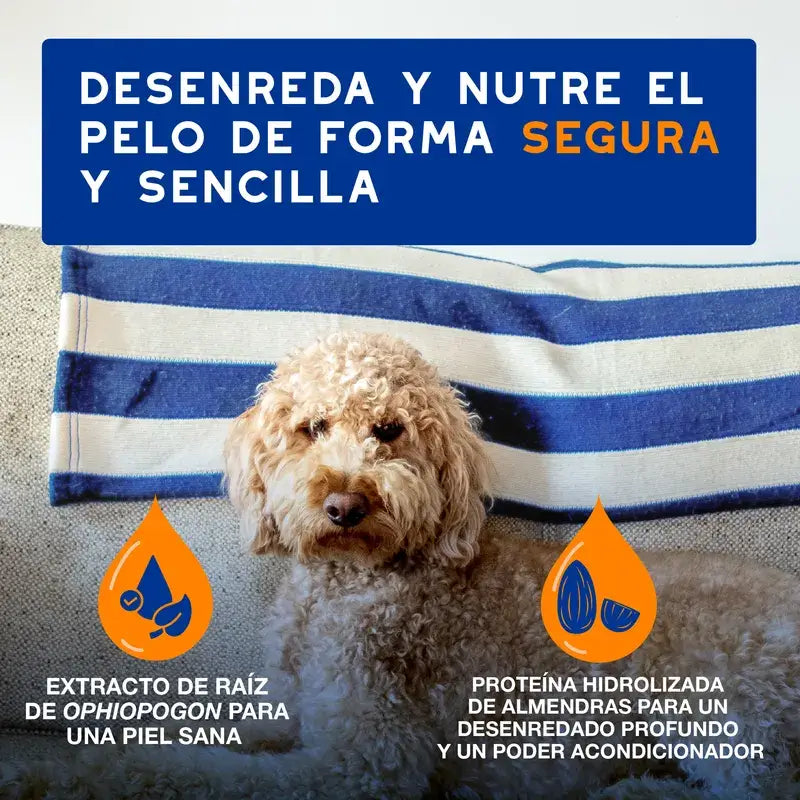 Douxo Skin & Coat Spa Spray districante per cani, 340 ml
