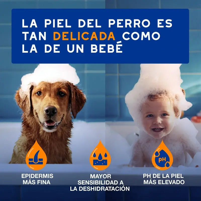 Douxo Skin & Coat Spa Spray districante per cani, 340 ml