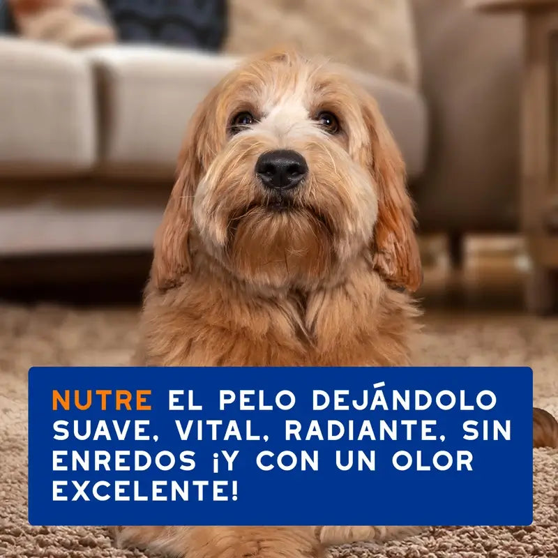 Douxo Skin & Coat Spa Spray districante per cani, 340 ml