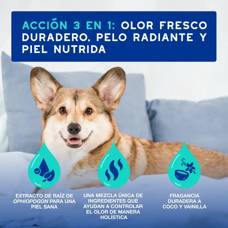 Douxo Skin & Coat Spa Spray multi-azione anti-odore per cani, 340 ml