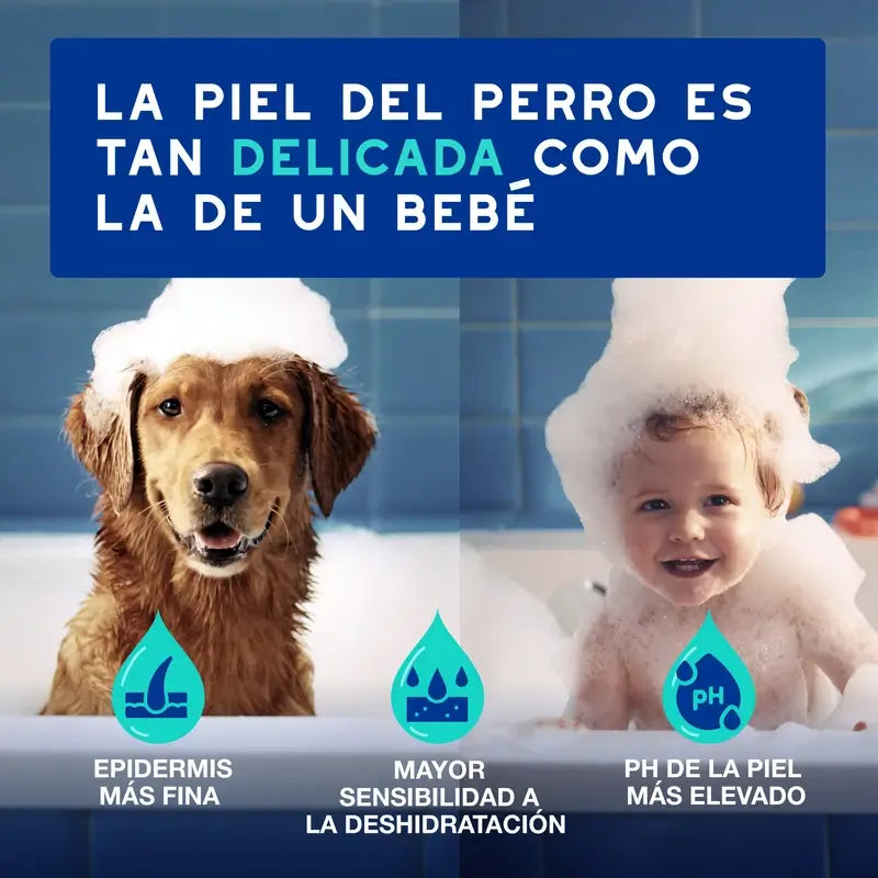 Douxo Skin & Coat Spa Spray multi-azione anti-odore per cani, 340 ml