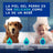 Douxo Skin & Coat Spa Spray multi-azione anti-odore per cani, 340 ml
