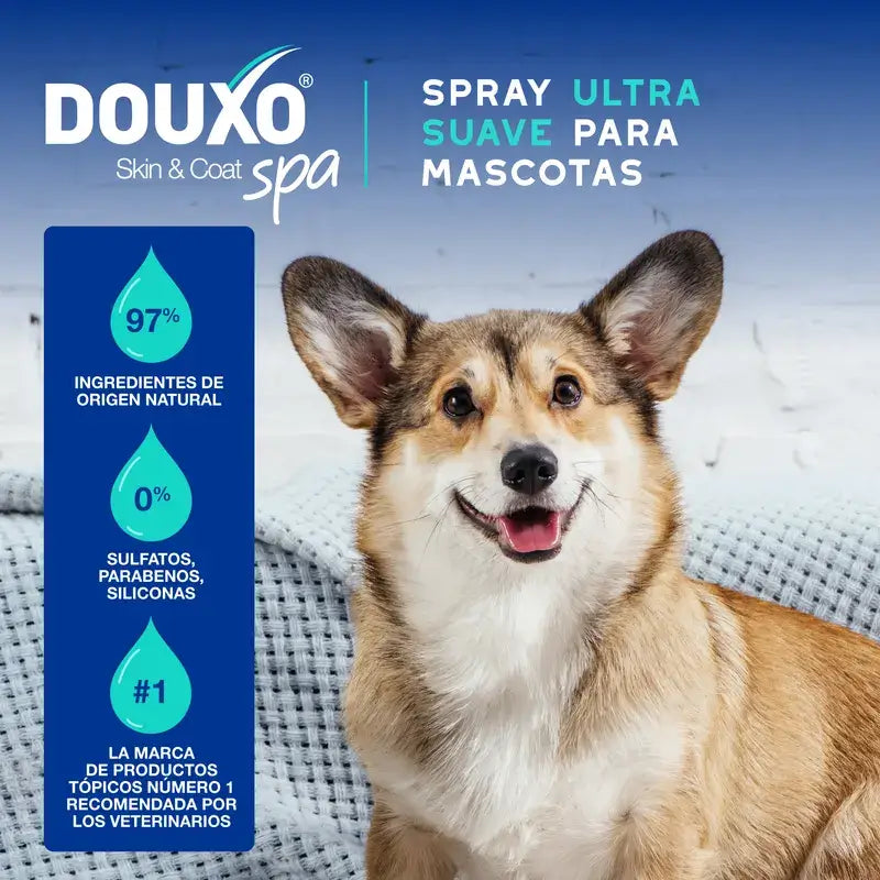 Douxo Skin & Coat Spa Spray multi-azione anti-odore per cani, 340 ml